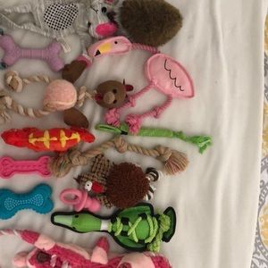 Dog toy bundle